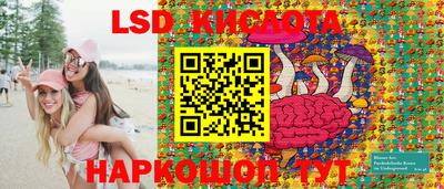 PSILOCYBIN Бердск