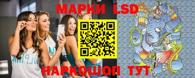 PSILOCYBIN Бердск