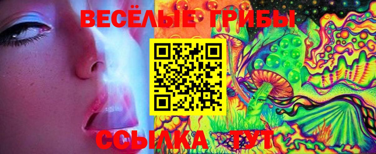 Псилоцибиновые грибы Psilocybe  Вход с VPN  Вязьма 