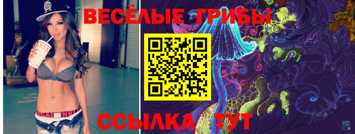 Псилоцибиновые грибы Psilocybine cubensis Вязьма